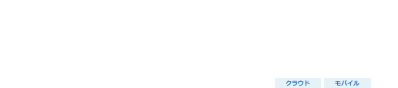 フィールドサービスソリューション（Salesforce）