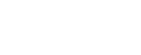 Pega Platformとは