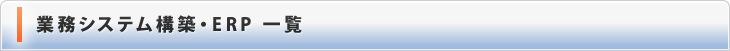 業務システム構築・ERP一覧