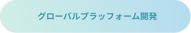 グローバルプラッフォーム開発