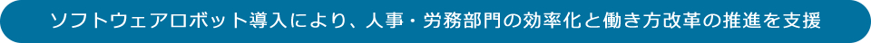 ロボットソフトウェア導入により、人事・労務部門の効率化と働き方改革の推進を支援